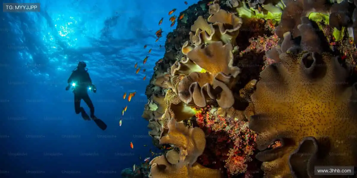 🛹 极限运动，超越想象！🌟 挑战地心引力，记录你的高光时刻！